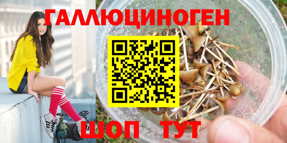Псилоцибиновые грибы мухоморы Будённовск