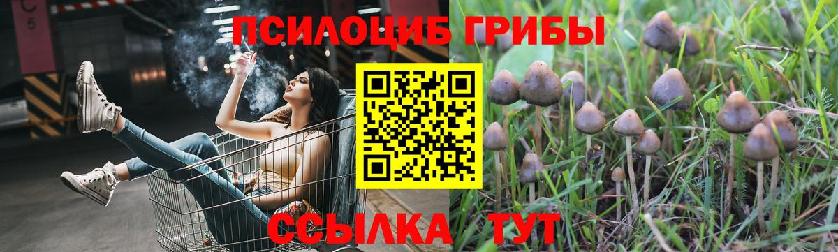 Псилоцибиновые грибы Cubensis  Вход с VPN  Будённовск 